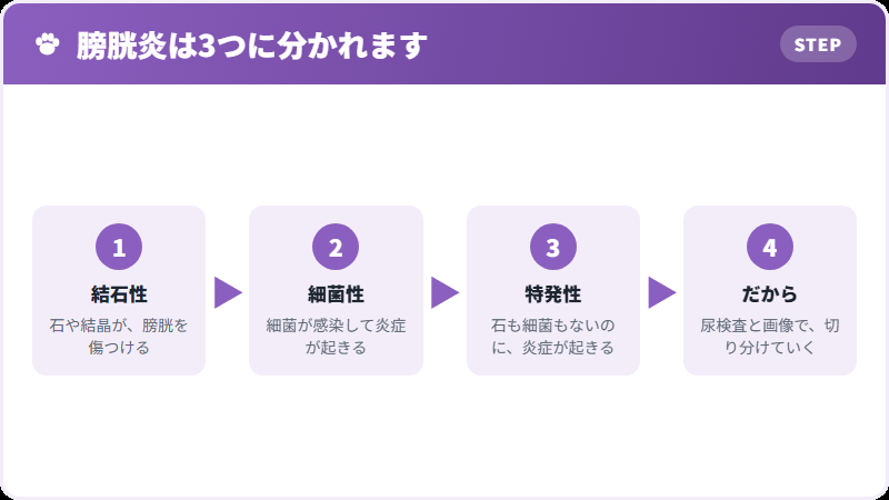 膀胱炎の3分類