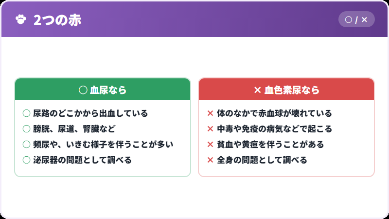 血尿と血色素尿