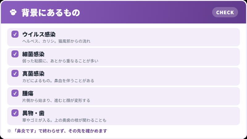 原因の候補