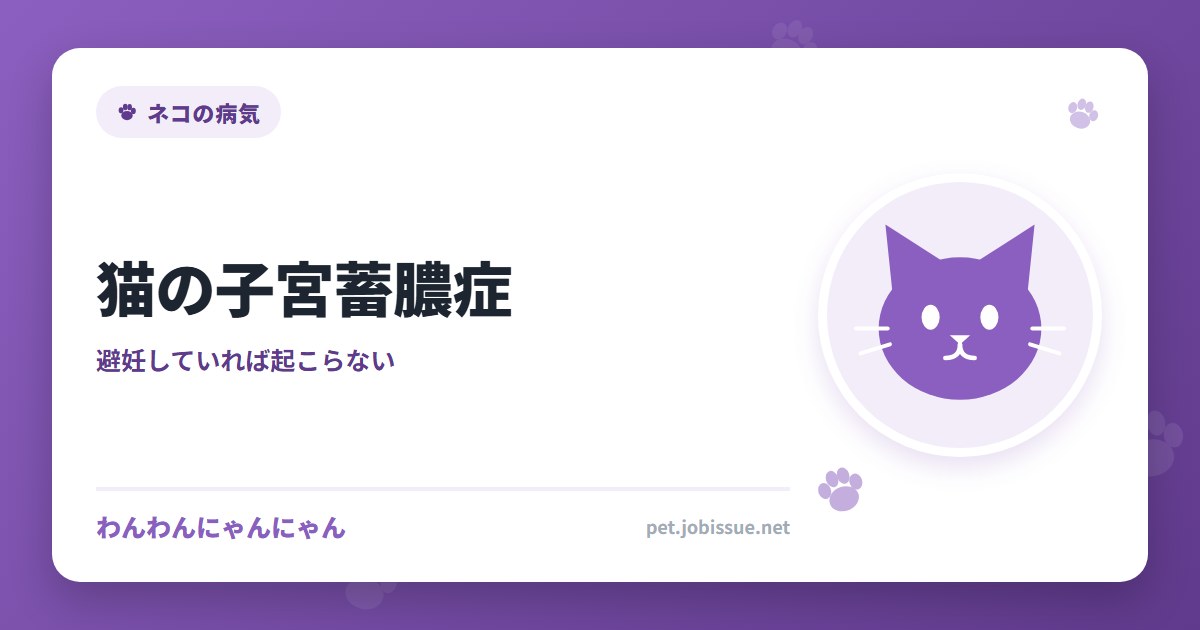 猫の子宮蓄膿症