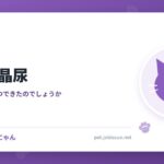 猫の結晶尿
