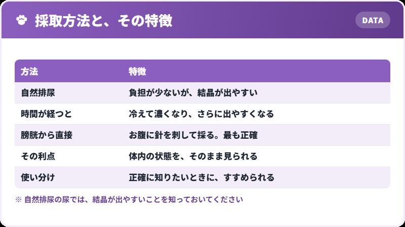 尿の採り方