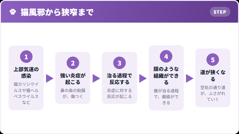狭くなるまで