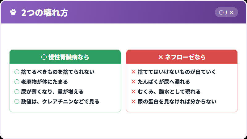 慢性腎臓病との違い