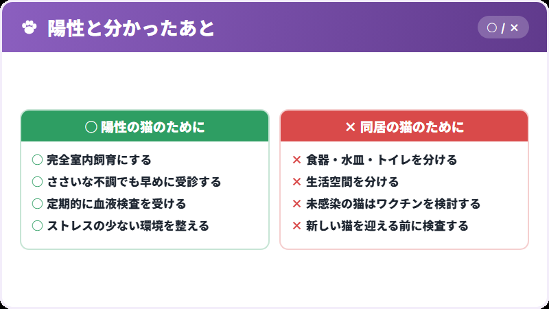 陽性の猫と、陰性の猫
