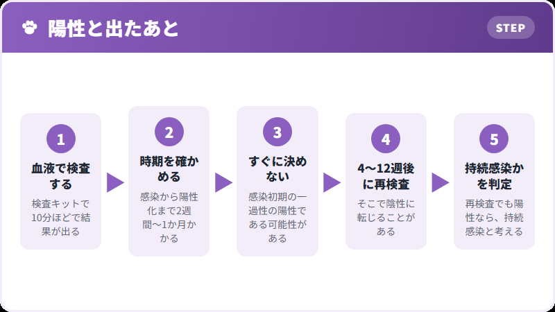 検査の流れ
