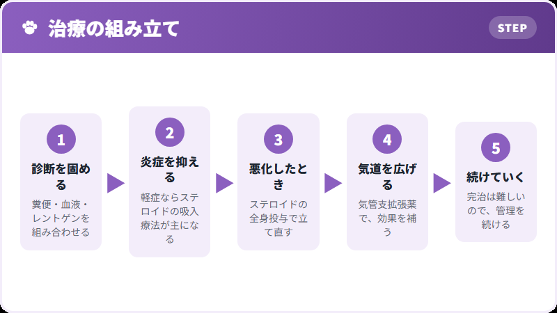 治療の進み方