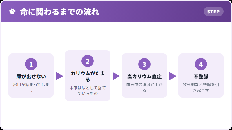 なぜ心臓が止まるのか