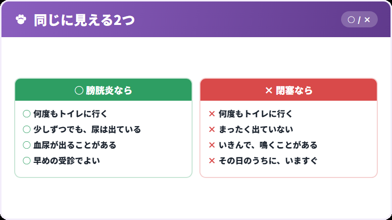 膀胱炎に見えるということ