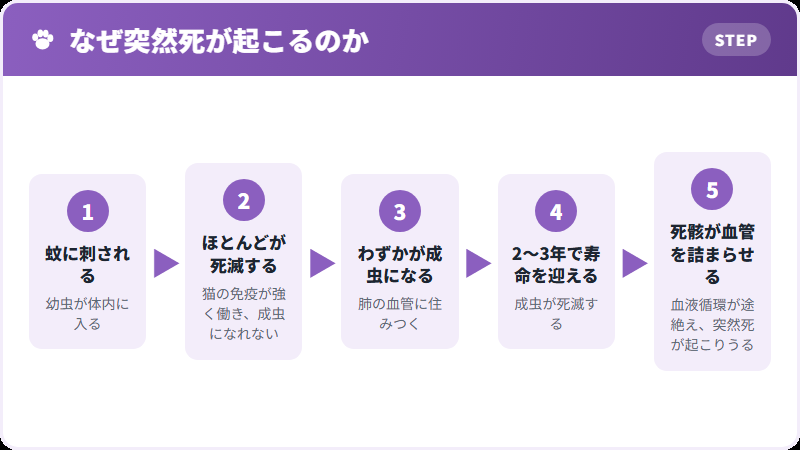 突然死が起きるしくみ