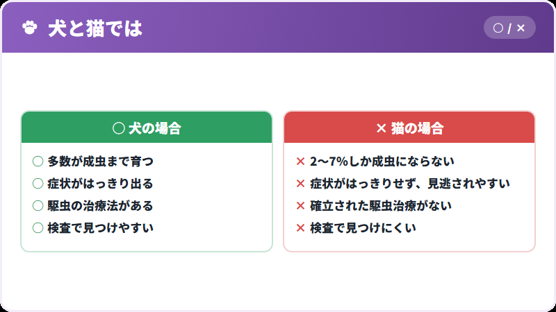 犬と猫の違い