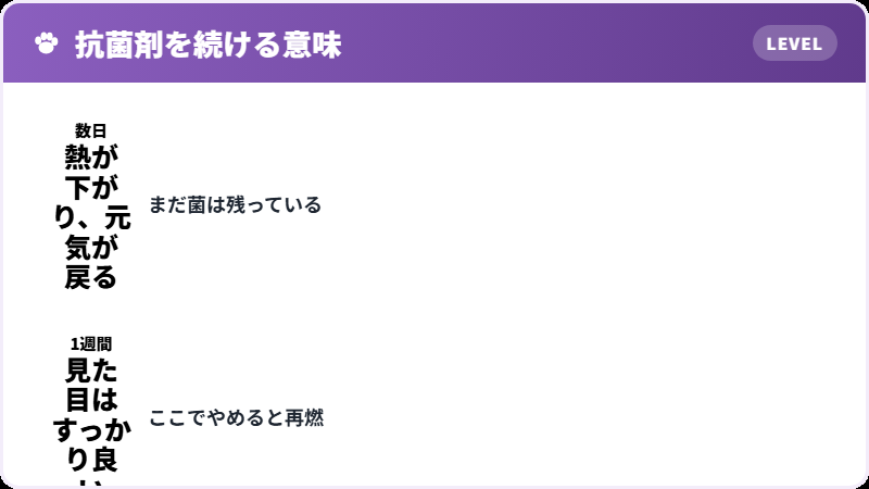 投薬の期間
