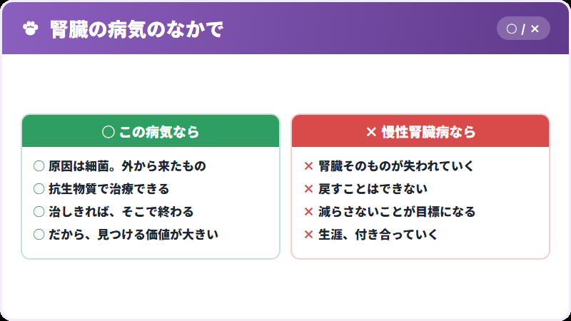 治せる腎臓病ということ