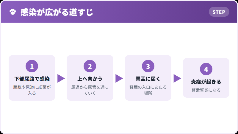 下から上がってくる