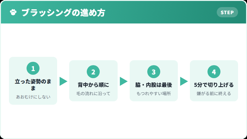 ミヌエットのブラッシング手順