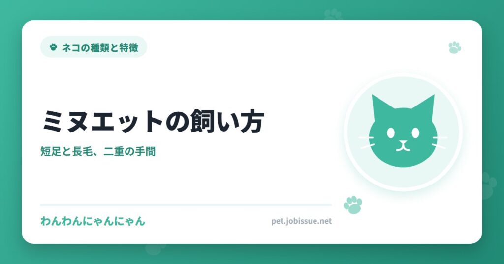 ミヌエットの飼い方