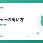 ミヌエットの飼い方