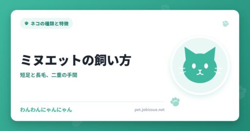 ミヌエットの飼い方