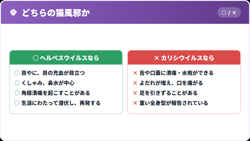 二つの猫風邪の違い
