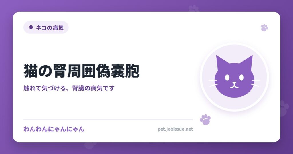 猫の腎周囲偽嚢胞