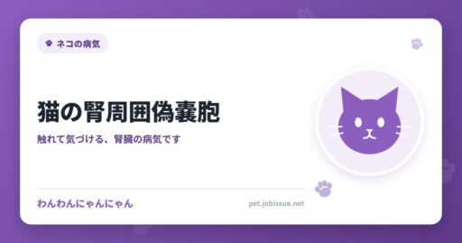 猫の腎周囲偽嚢胞