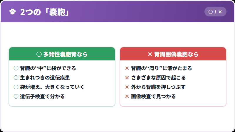 たまる場所の違い