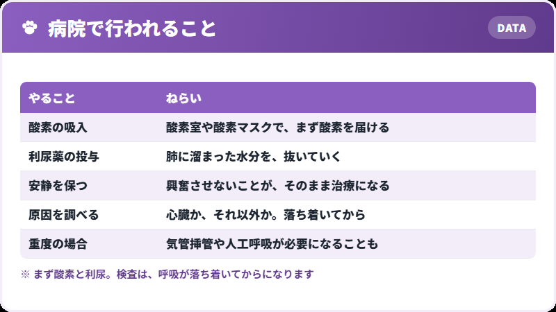 治療の中身
