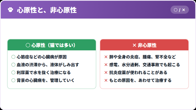 二つの肺水腫