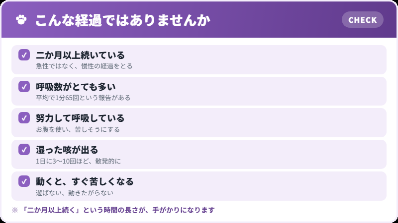 症状の特徴