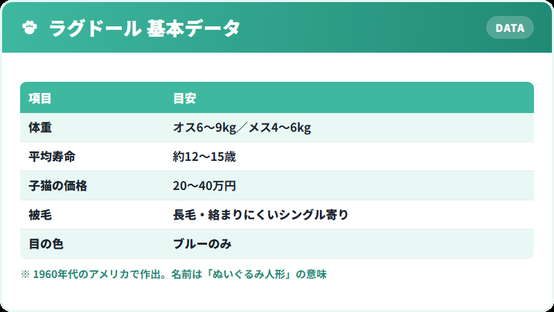 ラグドールの基本データ 体重・寿命・価格の一覧