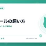 ラグドールの飼い方
