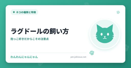 ラグドールの飼い方