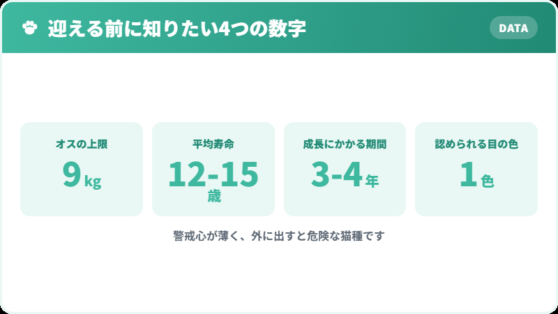ラグドールを迎える前に知っておきたい4つの数字