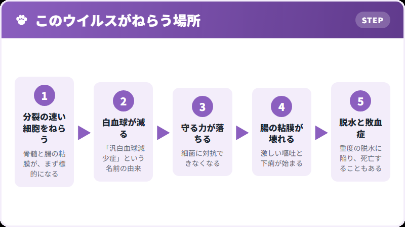体の中で起きること