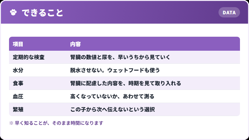見つかったあとにすること