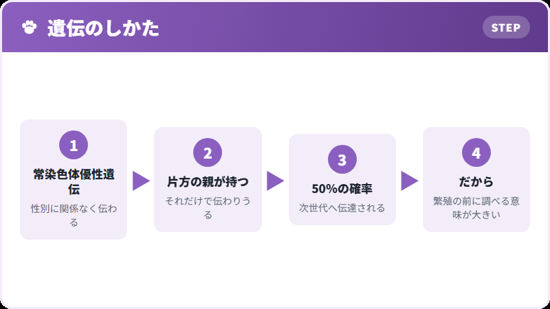 どう伝わるのか
