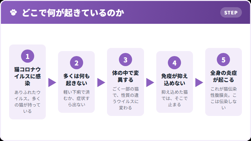 ありふれたウイルスが変わるまで