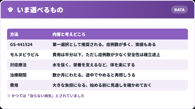 治療の選択肢