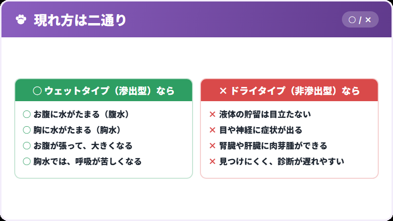 二つのタイプ