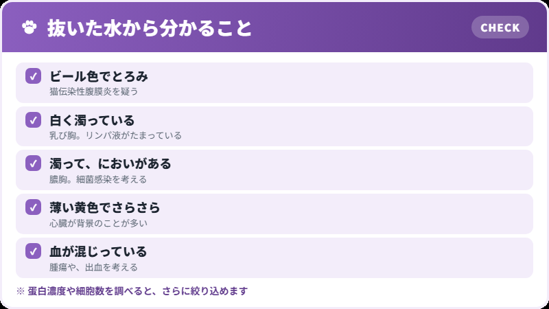 水の性状