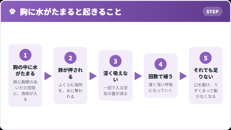 胸水がたまると