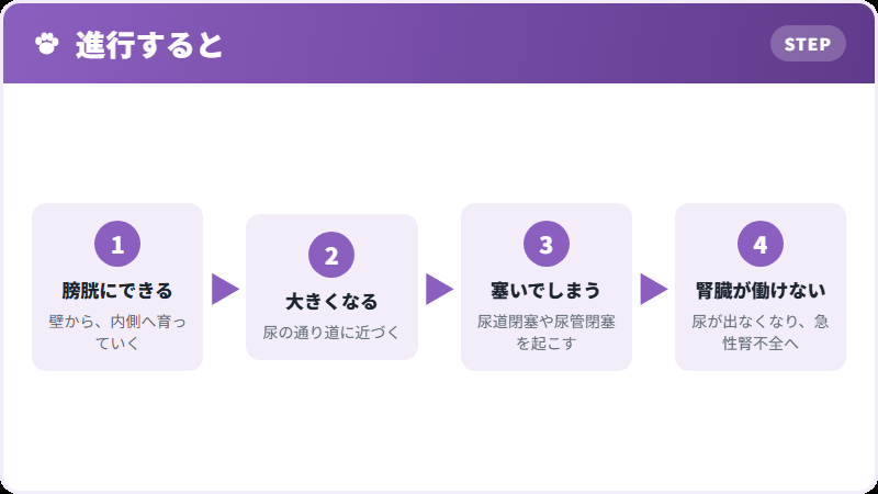 進むと起きること