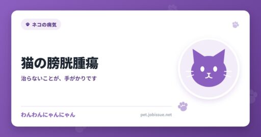 猫の膀胱腫瘍