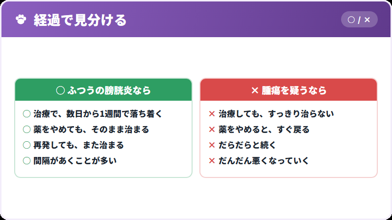 膀胱炎との見分け