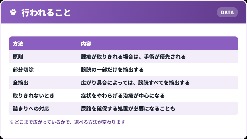 治療の選択肢