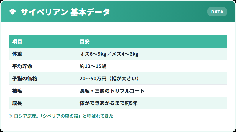サイベリアンの基本データ 体重・寿命・価格の一覧