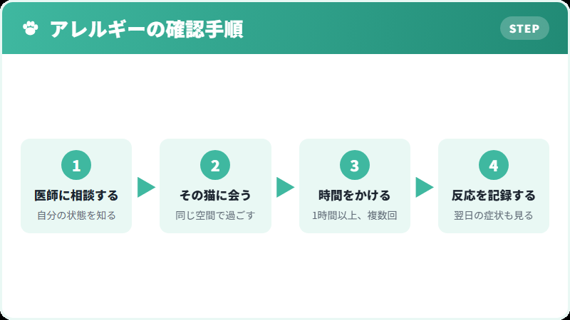 猫アレルギーがある人が迎える前に踏むべき手順