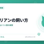 サイベリアンの飼い方