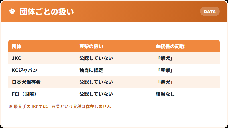 豆柴の公認状況を示した一覧