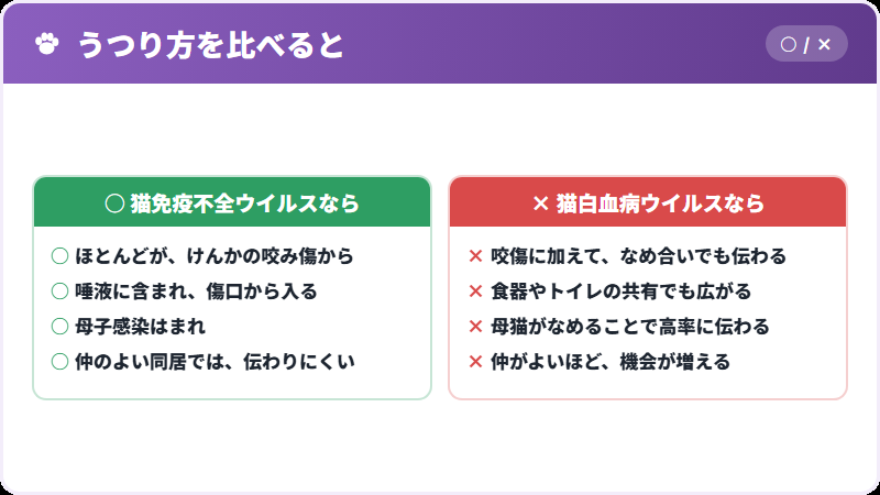 二つのウイルスの、うつり方の違い